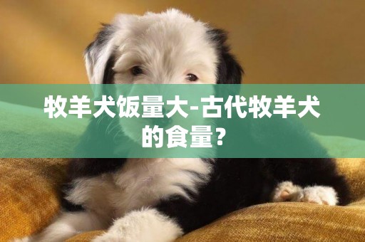 牧羊犬飯量大-古代牧羊犬的食量？
