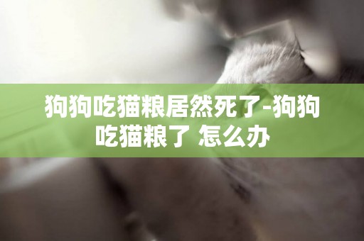 狗狗吃貓糧居然死了-狗狗吃貓糧了 怎么辦