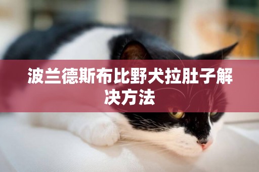 波蘭德斯布比野犬拉肚子解決方法