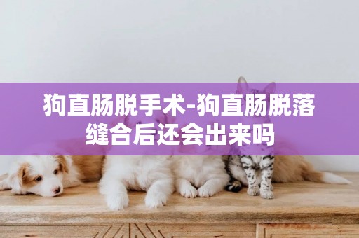 狗直腸脫手術-狗直腸脫落縫合后還會出來嗎