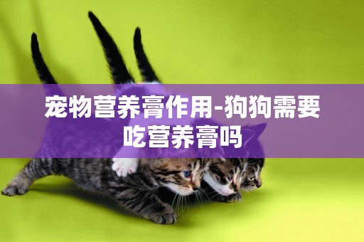 寵物營養膏作用-狗狗需要吃營養膏嗎
