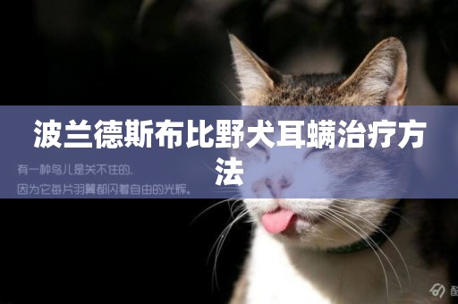 波蘭德斯布比野犬耳螨治療方法