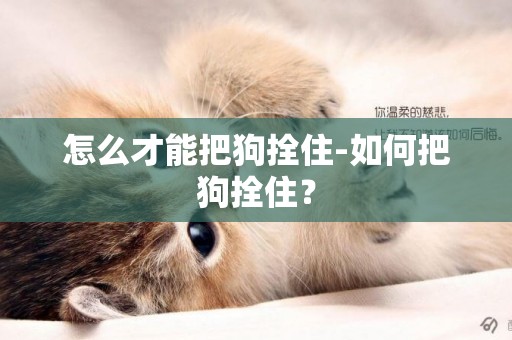怎么才能把狗拴住-如何把狗拴住？