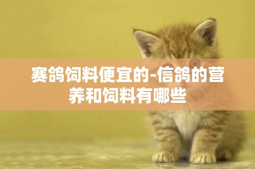 賽鴿飼料便宜的-信鴿的營養和飼料有哪些