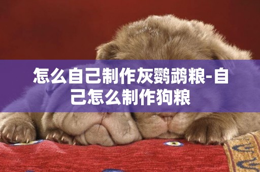 怎么自己制作灰鸚鵡糧-自己怎么制作狗糧