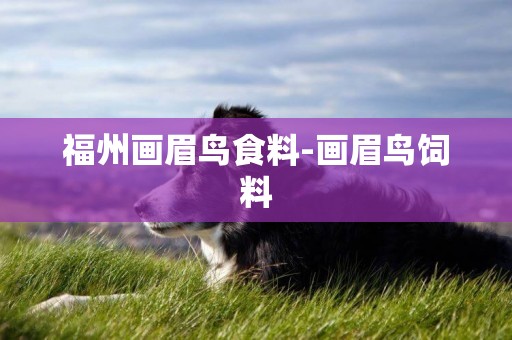 福州畫眉鳥食料-畫眉鳥飼料
