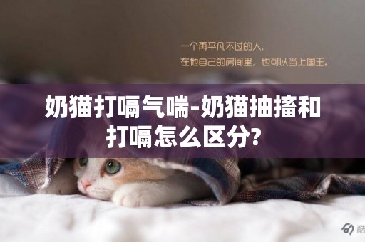 奶貓打嗝氣喘-奶貓抽搐和打嗝怎么區分?