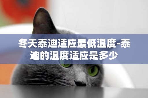 冬天泰迪適應最低溫度-泰迪的溫度適應是多少