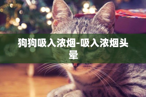 狗狗吸入濃煙-吸入濃煙頭暈
