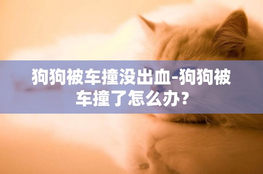 狗狗被車撞沒出血-狗狗被車撞了怎么辦？