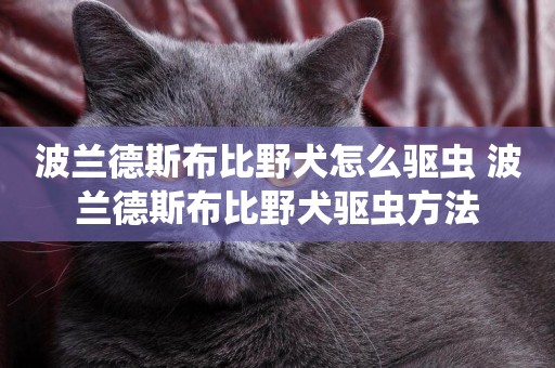 波蘭德斯布比野犬怎么驅蟲 波蘭德斯布比野犬驅蟲方法