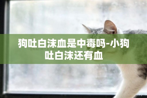 狗吐白沫血是中毒嗎-小狗吐白沫還有血