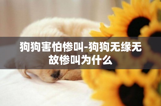 狗狗害怕慘叫-狗狗無緣無故慘叫為什么