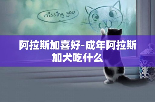 阿拉斯加喜好-成年阿拉斯加犬吃什么