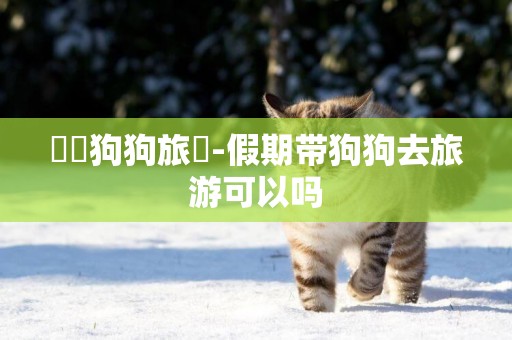 廣東狗狗旅遊-假期帶狗狗去旅游可以嗎
