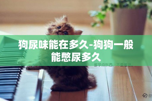 狗尿味能在多久-狗狗一般能憋尿多久