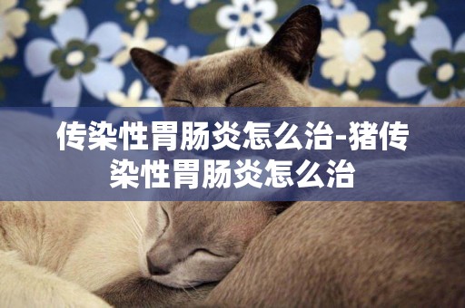 傳染性胃腸炎怎么治-豬傳染性胃腸炎怎么治