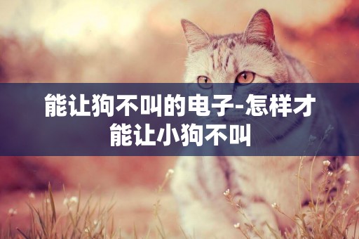 能讓狗不叫的電子-怎樣才能讓小狗不叫