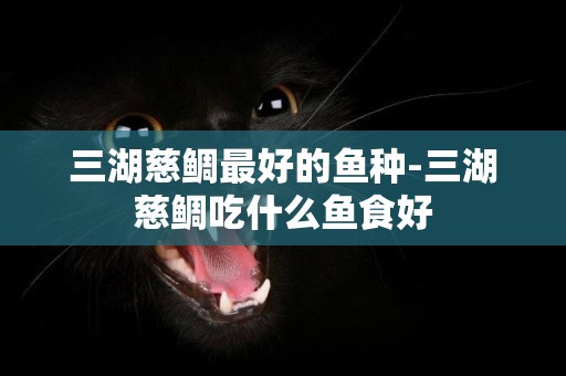 三湖慈鯛最好的魚種-三湖慈鯛吃什么魚食好