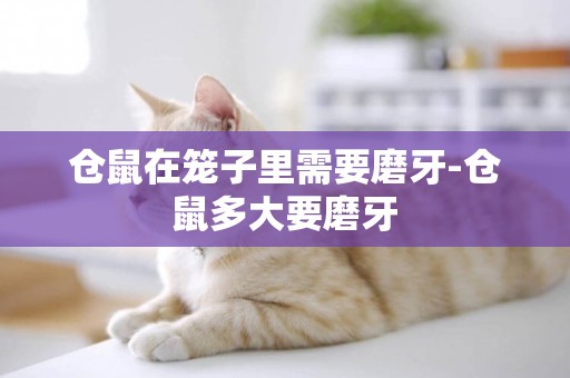 倉鼠在籠子里需要磨牙-倉鼠多大要磨牙