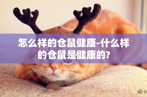 怎么樣的倉鼠健康-什么樣的倉鼠是健康的?