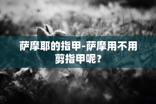 薩摩耶的指甲-薩摩用不用剪指甲呢？