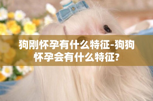 狗剛懷孕有什么特征-狗狗懷孕會有什么特征?