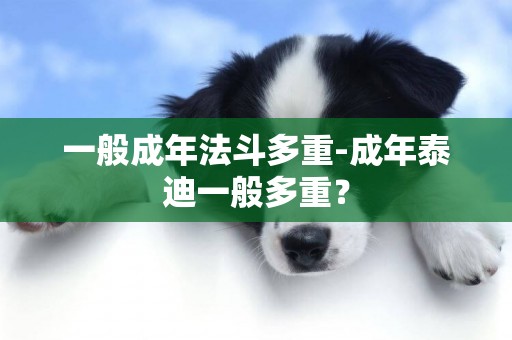一般成年法斗多重-成年泰迪一般多重？