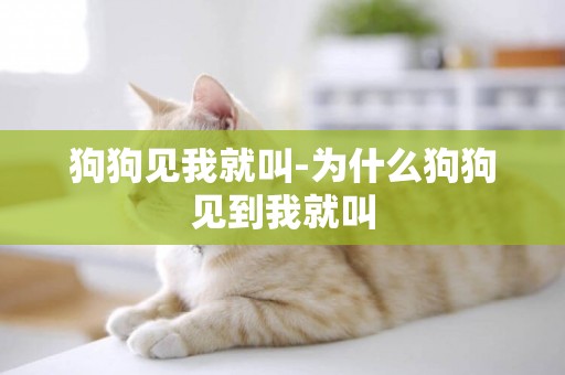 狗狗見我就叫-為什么狗狗見到我就叫