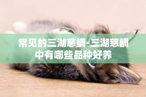 常見的三湖慈鯛-三湖慈鯛中有哪些品種好養
