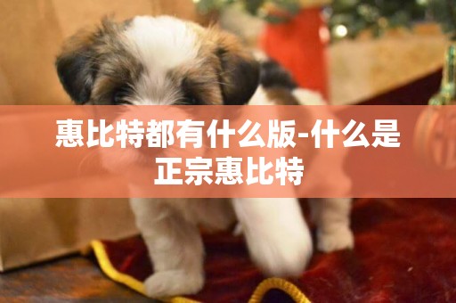 惠比特都有什么版-什么是正宗惠比特