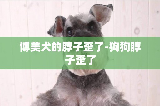 博美犬的脖子歪了-狗狗脖子歪了