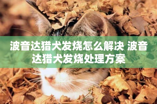波音達獵犬發燒怎么解決 波音達獵犬發燒處理方案