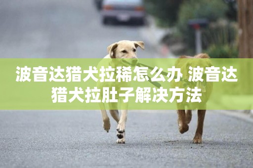 波音達獵犬拉稀怎么辦 波音達獵犬拉肚子解決方法