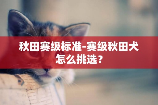 秋田賽級標準-賽級秋田犬怎么挑選？