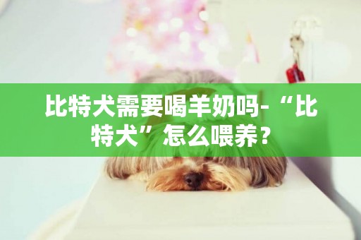 比特犬需要喝羊奶嗎-“比特犬”怎么喂養？