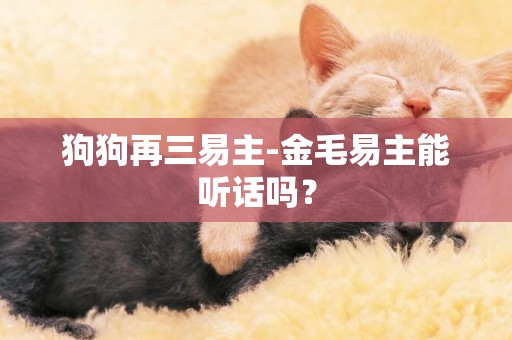 狗狗再三易主-金毛易主能聽話嗎？