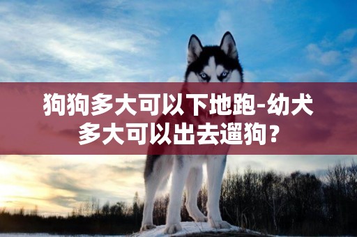 狗狗多大可以下地跑-幼犬多大可以出去遛狗？