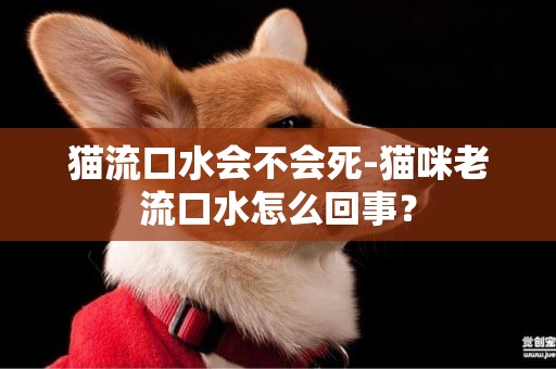 貓流口水會不會死-貓咪老流口水怎么回事？