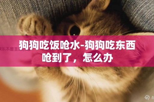 狗狗吃飯嗆水-狗狗吃東西嗆到了，怎么辦