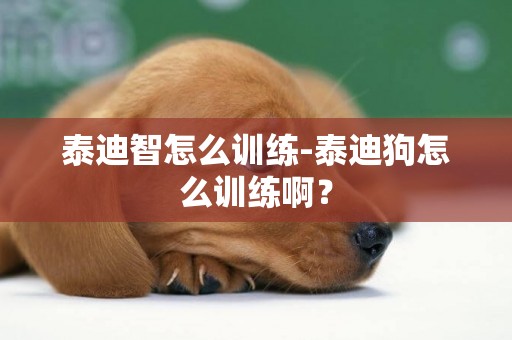 泰迪智怎么訓練-泰迪狗怎么訓練啊？