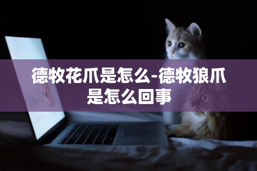 德牧花爪是怎么-德牧狼爪是怎么回事