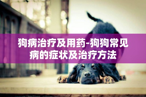 狗病治療及用藥-狗狗常見病的癥狀及治療方法