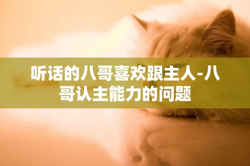 聽話的八哥喜歡跟主人-八哥認主能力的問題