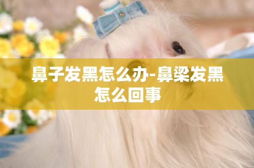 鼻子發黑怎么辦-鼻梁發黑怎么回事