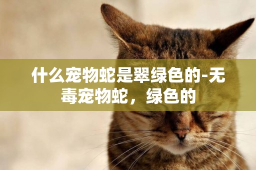 什么寵物蛇是翠綠色的-無毒寵物蛇，綠色的