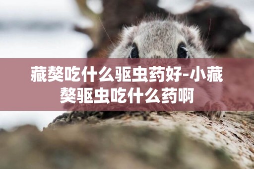 藏獒吃什么驅蟲藥好-小藏獒驅蟲吃什么藥啊