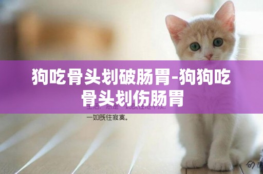狗吃骨頭劃破腸胃-狗狗吃骨頭劃傷腸胃