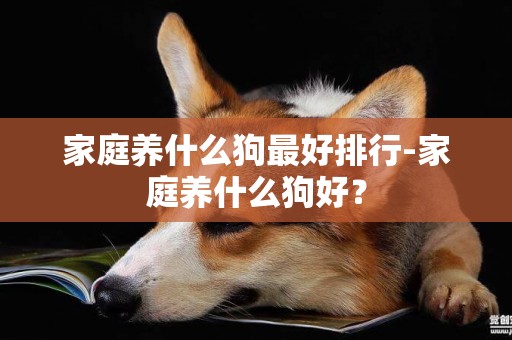 家庭養什么狗最好排行-家庭養什么狗好？