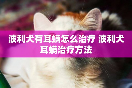 波利犬有耳螨怎么治療 波利犬耳螨治療方法
